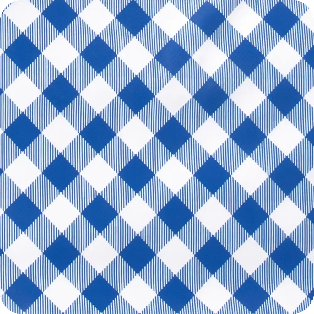 Gameday Gingham Royal Lunchi Lunch Bag