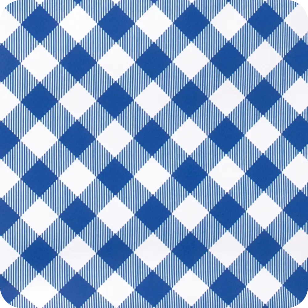 Gameday Gingham Royal + Red Lunchi Lunch Bag