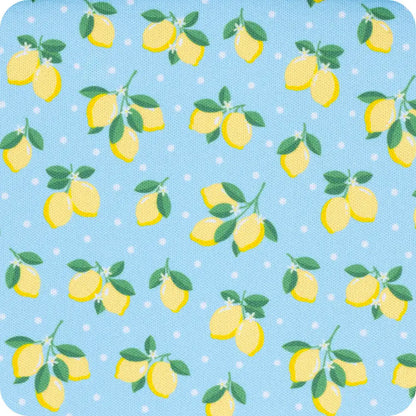 Lemon Meringue Large Iced Cup Coolie